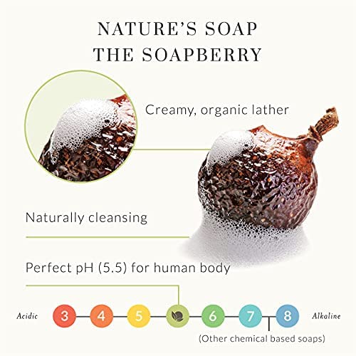 Hair Shampoo Naturally Cleansing From Wild Soapberries for Full Stronger Hair